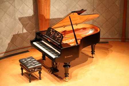 【河口湖畔の音楽ホール】河口湖円形ホール ホール1日貸し切り ベーゼンドルファーピアノ使用権付き