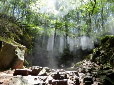 (3)青木ケ原樹海の３ケ所の天然洞窟とディープな樹海散策５時間コース【大人２名様分体験チケット】