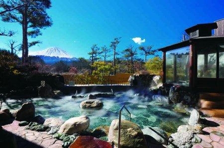 日帰り温泉「富士眺望の湯ゆらり」　入泉券2枚