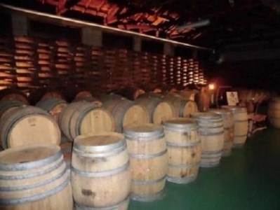 プティモンテリアルージュ300ml×24本 ワイン モンデ酒造 山梨ワイン 赤ワイン ワイン モンデ酒造 山梨ワイン 赤ワイン