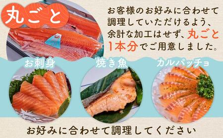 山梨 ご当地 サーモン 富士の介丸ごとセット