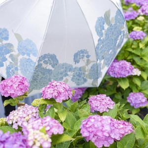 槙田商店【晴雨兼用】長傘 ”絵おり”  紫陽花