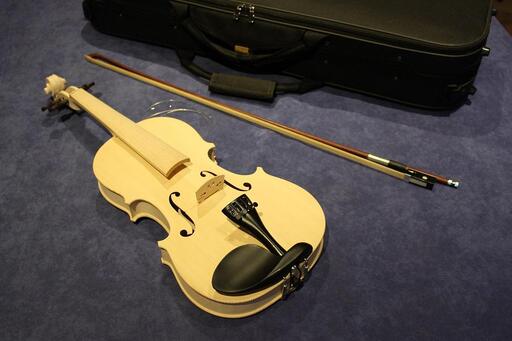 河口湖音楽と森の美術館　ヴァイオリン絵付け体験（入館券付き）１名様