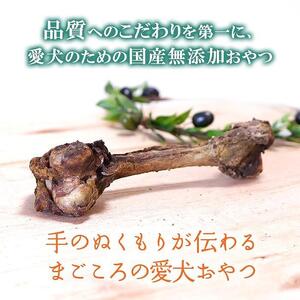 無添加 大型犬用 おやつ 鹿骨ビッグボーン 大 （大腿骨） 鹿骨