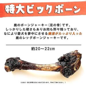 無添加 大型犬用 おやつ 鹿骨ビッグボーン 大 （大腿骨） 鹿骨