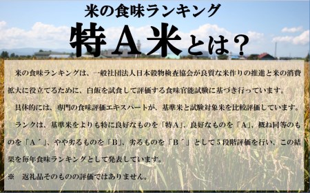 【受付停止中】令和7年産ななつぼし&ゆめぴりか定期便80㎏(毎月10㎏(各5㎏)×8か月)【R7UD-02】