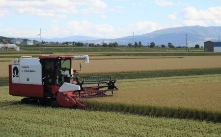 【受付停止中】令和7年産ななつぼし&ゆめぴりか定期便80㎏(毎月10㎏(各5㎏)×8か月)【R7UD-02】