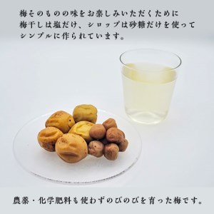 小菅村梅セット