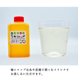 小菅村梅セット