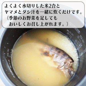 ヤマメのほぐし飯3パックセット