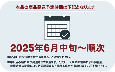 【2025年 先行予約 】 桃 もも 朝もぎ直送！『 桃 白鳳系』 5～8玉 約2kg規格箱入り 【高機能共選機使用】選び抜かれた桃 / 山梨県産 モモ 白鳳 フルーツ 果物 くだもの 人気 産地直送 厳選 贈答 贈り物 甘い 予約