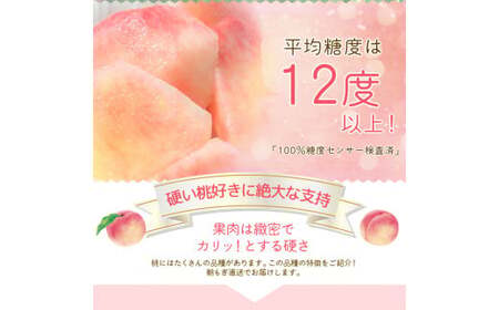 朝もぎ直送!『白桃系さくら』5~8玉 約2kg規格箱入り【高機能共 朝もぎ直送!『白桃系さくら』5~8玉 約2kg規格箱入り【高機能共