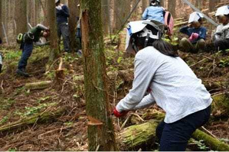 【多摩川の源流で間伐体験】体験コース