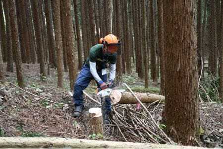 【多摩川の源流で間伐体験】体験コース