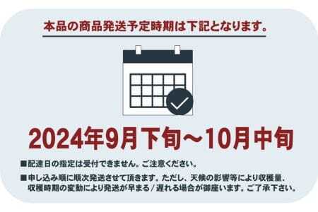 【先行予約】丹波山村産原木舞茸約1kg 2024年9月下旬より順次発送予定