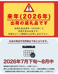 白桃 山梨の桃　約2kg【tab0097】