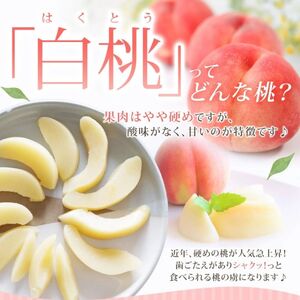白桃 山梨の桃　約2kg【tab0097】