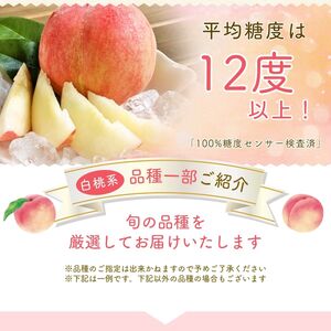 白桃 山梨の桃　約2kg【tab0097】