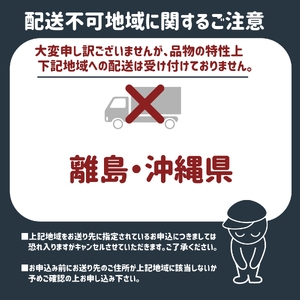 白桃 山梨の桃　約2kg【tab0097】