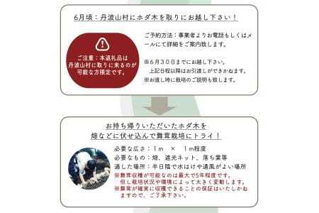 【村に取りに来られる方限定】丹波山村の原木舞茸のほだ木販売 10本 原木舞茸を自分で育ててみませんか【tab0202】