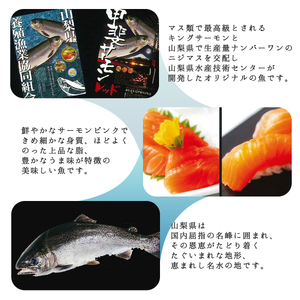 サーモン 富士の介 お刺し身 セット【tab0136】