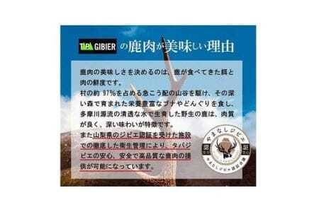 タバジビエ 鹿カレー(3パックセット)【tab0012】