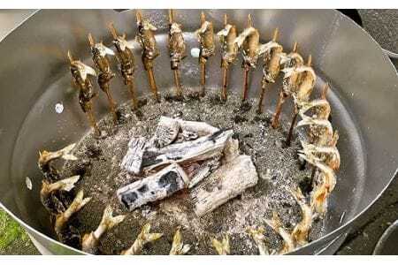 【2026年分】年間遊漁券 アユ釣り 女性・中学生以下の男性【tab0047】