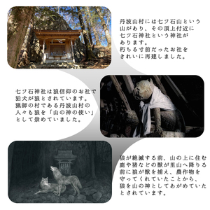 絵本「蒼い夜の狼たち」【tab0150】