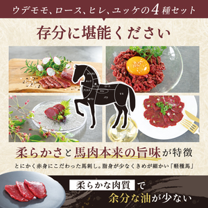 純国産甲州馬刺し CRAZYHORSE　やわらか赤身　生産者おまかせ部位４種セット約600g