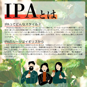 クラフトビール 丹波山　厳選IPA 12本セット 飲み比べ | クラフトビール 地ビール 【tab0222-12】