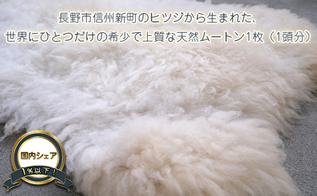 信州新町のヒツジ（サフォーク）から生まれた天然ムートン1枚（1頭分