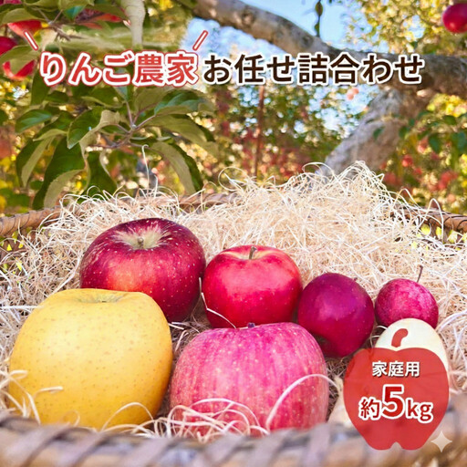 2026年産　長野市産　りんご農家お任せ詰合わせ　家庭用約5kg 林檎 リンゴ 詰め合わせ 果物類 果物