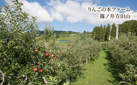 りんごふたいろ 12個入（りんごのお菓子詰め合わせ） スイーツ アップルパイ 焼菓子 おやつ ティータイム 