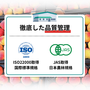 信州産 白桃ジュース 「千曲の滴」 果汁100% (1L×4本) 果実飲料 飲料類 飲み物 フルーツジュース ピーチジュース ストレートジュース