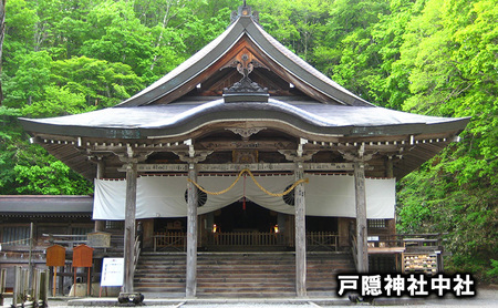 祈りの道・癒しの杜「戸隠」でたのしむ戸隠神社五社巡りガイド付きコース（10名様まで利用可）＊開催時期4月～11月（積雪期除く） 体験チケット チケット 