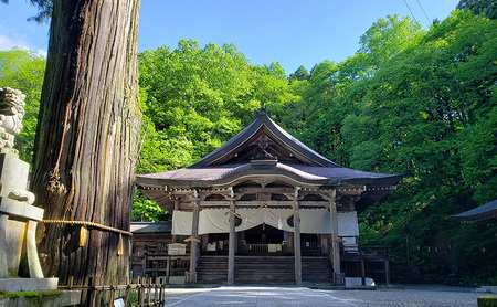 祈りの道・癒しの杜「戸隠」でたのしむ戸隠神社五社巡りガイド付きコース（10名様まで利用可）＊開催時期4月～11月（積雪期除く） 体験チケット チケット 