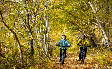 祈りの道・癒しの杜「戸隠」でたのしむレンタサイクル(E-BIKE 1台レンタル/日)*実施時期4月下旬~11月初旬
