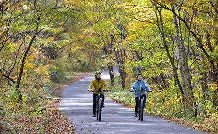 祈りの道・癒しの杜「戸隠」でたのしむレンタサイクル(E-BIKE 1台レンタル/日)*実施時期4月下旬~11月初旬