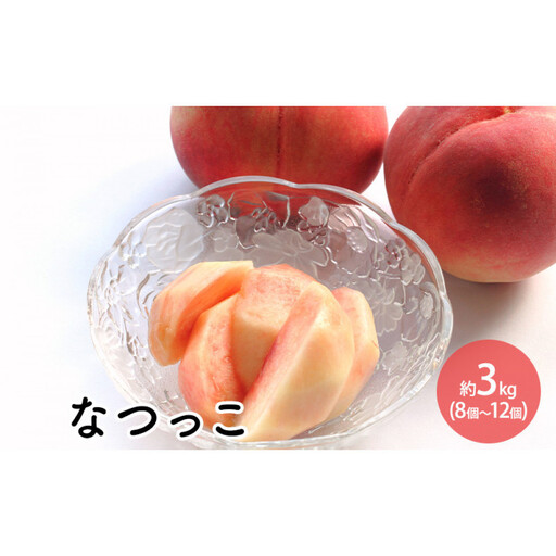2026年発送なつっこ約3kg（8個～12個）