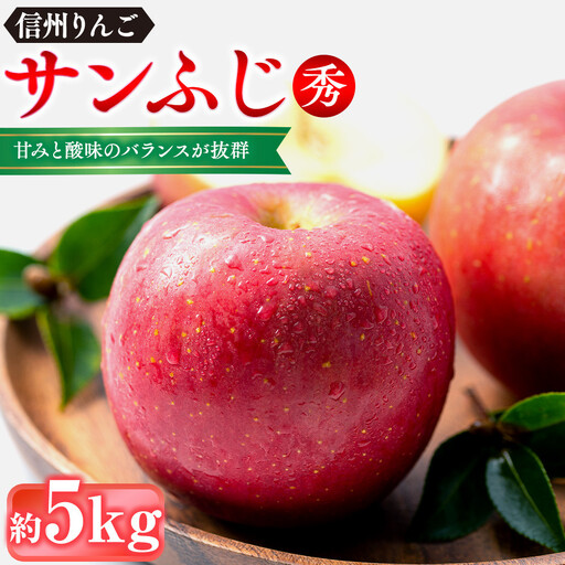 信州りんご ・ サンふじ （秀品）約5kg（12個～18個）