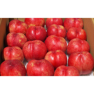 長野市産ネクタリン「サマークリスタル」約4kg（18～25個）