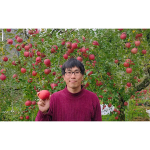 長野市産ネクタリン「サマークリスタル」約4kg（18～25個）