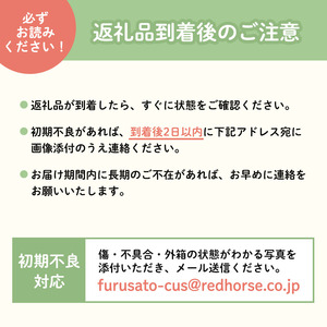 2026年発送 長野市産「紅玉」約2.7kg 