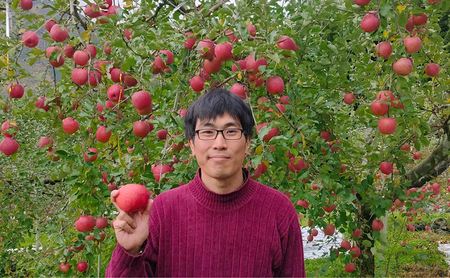 長野市産「紅玉」約4.5kg