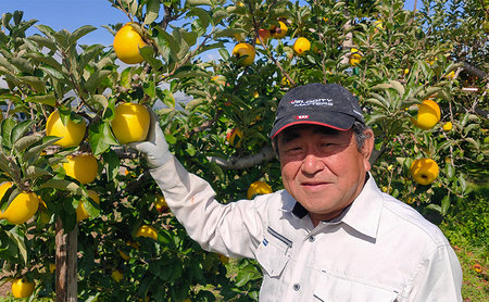 2026年発送 長野市産「シナノスイート」約3kg 