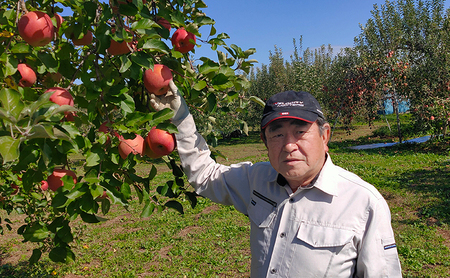 長野市産「サンふじ」約3kg