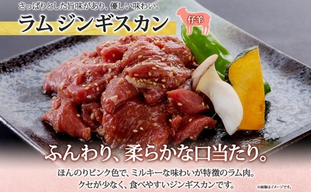 長野県 不動温泉 さぎり荘 謹製 ラムジンギスカン 250g×2袋 計500g 羊肉 ラム 味付き 肉 お肉 ジンギスカン 焼肉 BBQ 冷凍 小分け キャンプ  羊 おかず ストック お取り寄せ グルメ 人気 産地直送 信州新町 送料無料 長野 