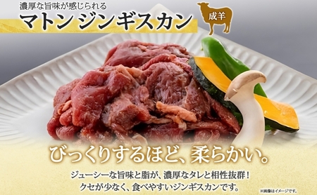 長野県 不動温泉 さぎり荘 謹製 ジンギスカン 2種 食べ比べ セット マトン ラム 各250g×1袋 計500g 羊肉 マトン ラム 味付き 肉 お肉 ジンギスカン 冷凍 小分け お取り寄せ グルメ 産地直送 信州新町 送料無料 長野 
