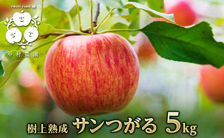 2026年産 りんご 5kg 樹上熟成 サンつがる 林檎 リンゴ 果物 くだもの フルーツ 旬の果物 旬のフルーツ 季節の果物 季節のフルーツ 美味しい果物 長野県産 長野県産りんご 信州 長野 長野県 長野市