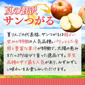 2026年産 りんご 5kg 樹上熟成 サンつがる 林檎 リンゴ 果物 くだもの フルーツ 旬の果物 旬のフルーツ 季節の果物 季節のフルーツ 美味しい果物 長野県産 長野県産りんご 信州 長野 長野県 長野市